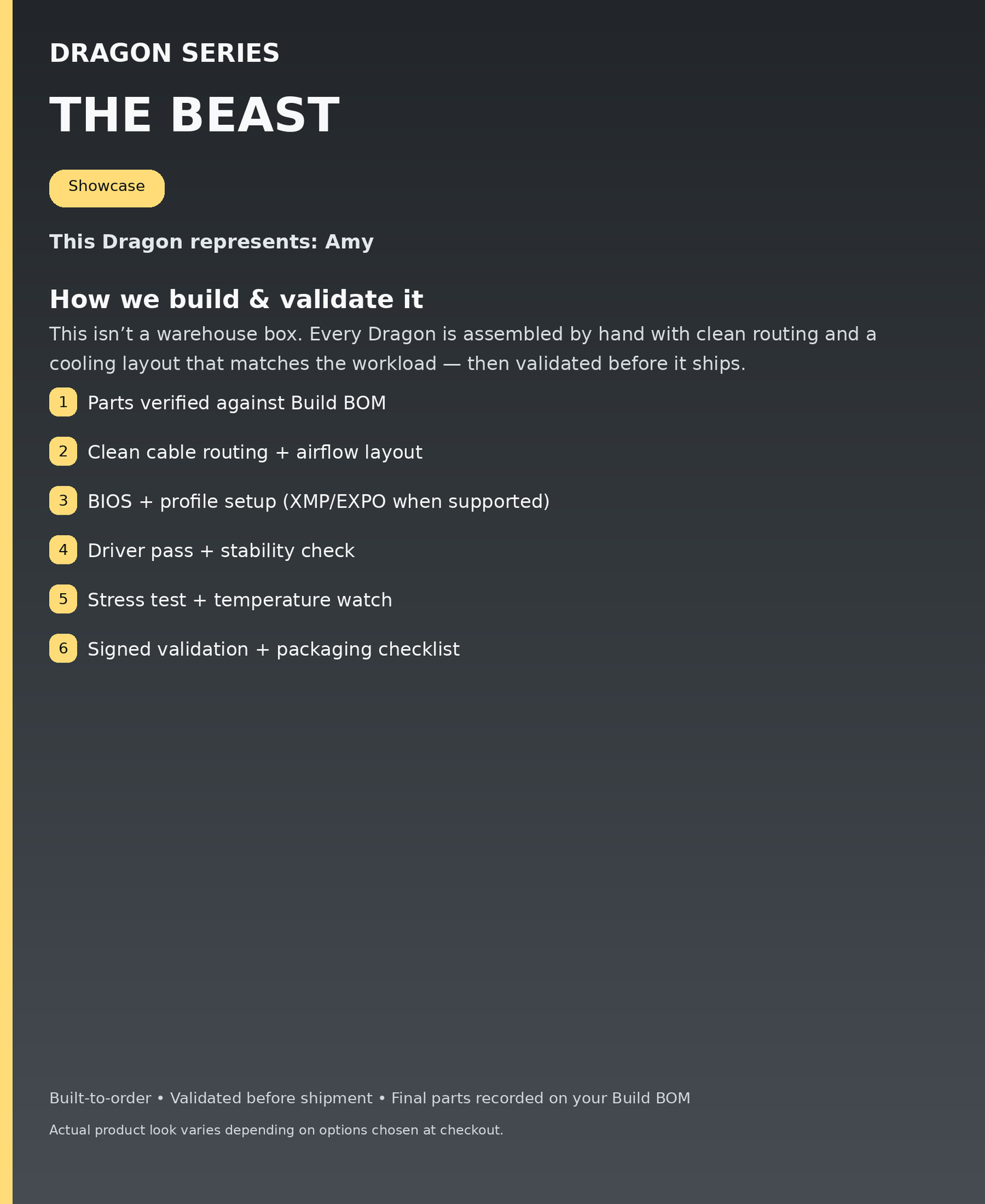Dragon Series - The Beast - build & validation